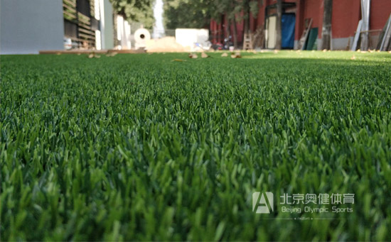 人工草皮細節圖