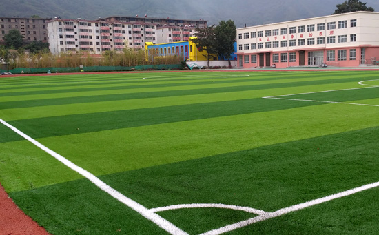 中學人造草足球場地圖片